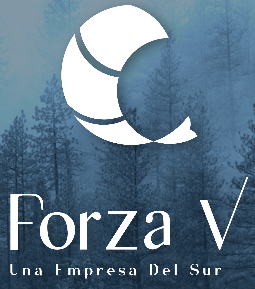FORZA-V
